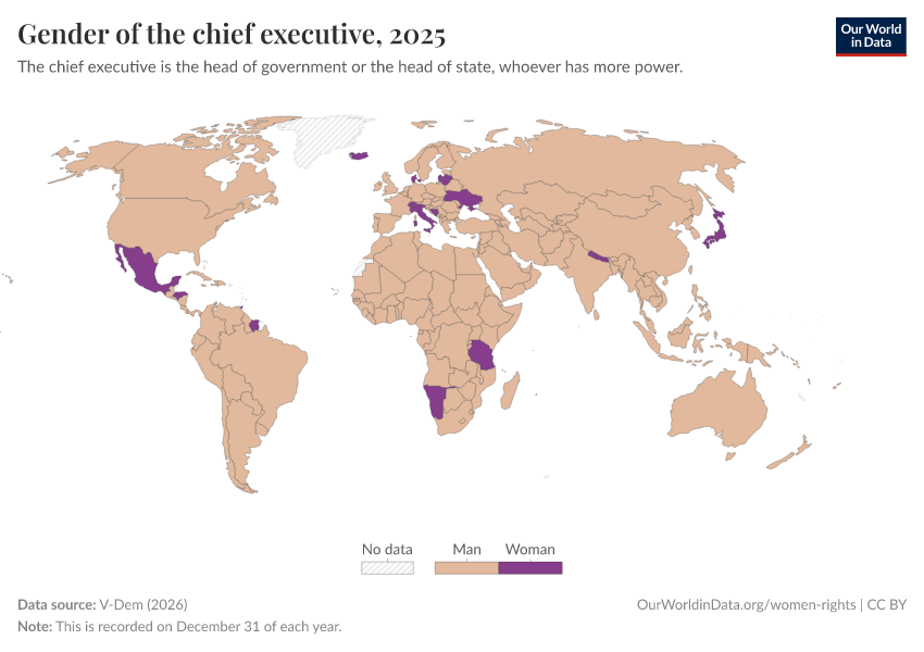 A thumbnail of the "Gender of the chief executive" chart